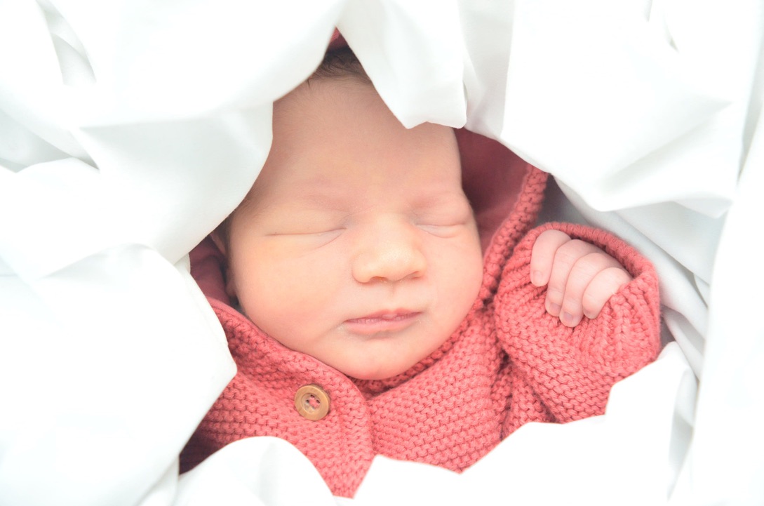 daphne wraped in a blanket