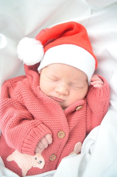 Dapnhe in santa hat
